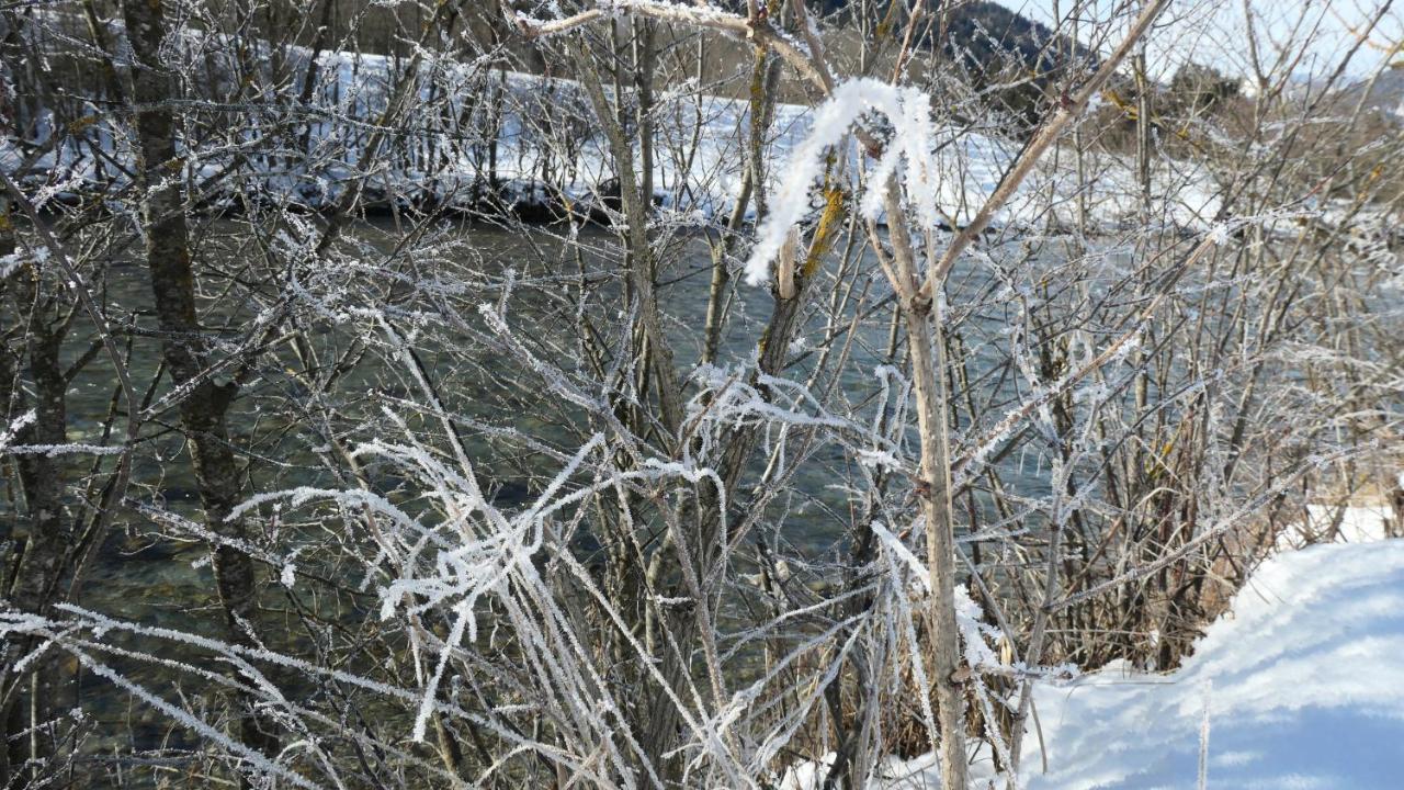 Haus Pleterski Lejlighed Obervellach Eksteriør billede